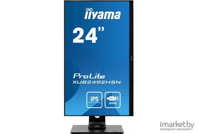 Монитор Iiyama ProLite [XUB2492HSN-B1]