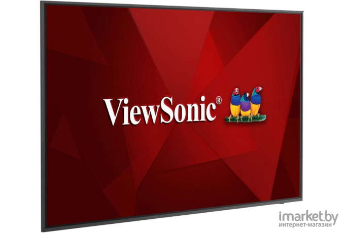 Информационная панель ViewSonic CDE6520