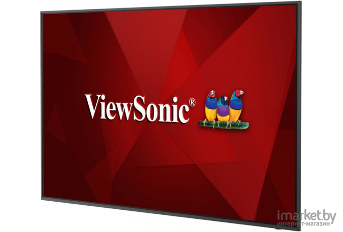 Информационная панель ViewSonic CDE6520