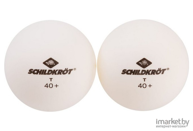 Мячи для настольного тенниса Donic 1T-TRAINING 6 штук белый [618191]