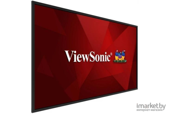 Монитор ViewSonic CDE5520