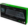 Клавиатура Razer Cynosa Lite [RZ03-02741500-R3R1]