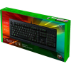 Клавиатура Razer Cynosa Lite [RZ03-02741500-R3R1]