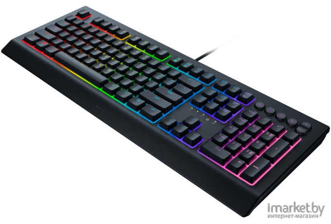 Клавиатура Razer Cynosa V2 [RZ03-03400700-R3R1]