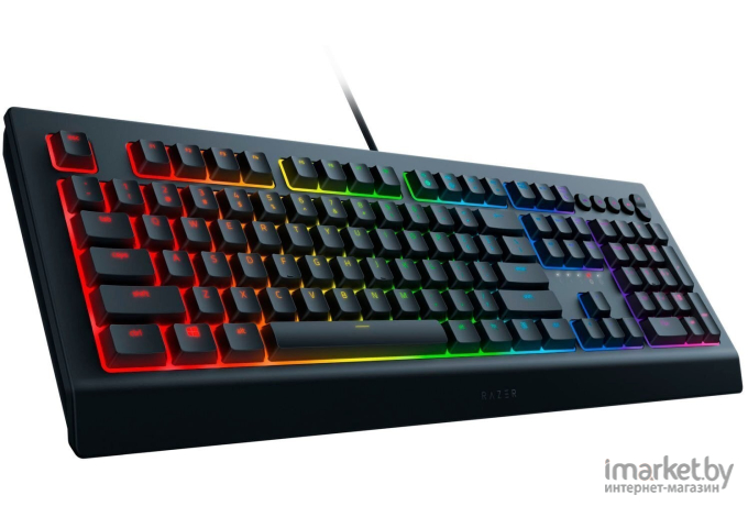 Клавиатура Razer Cynosa V2 [RZ03-03400700-R3R1]