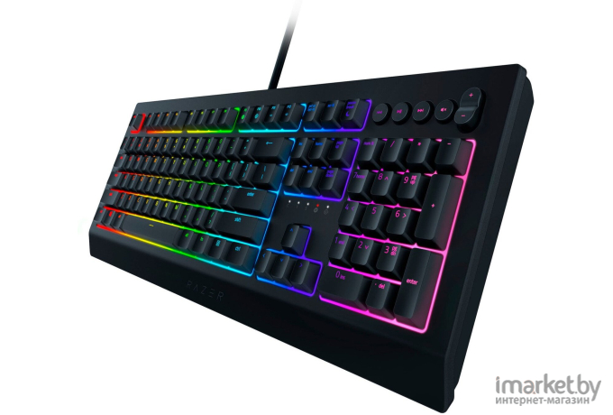 Клавиатура Razer Cynosa V2 [RZ03-03400700-R3R1]