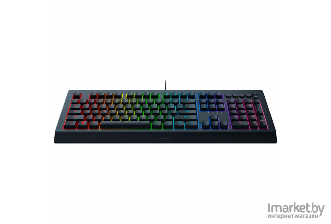 Клавиатура Razer Cynosa V2 [RZ03-03400700-R3R1]