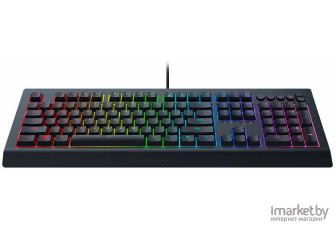 Клавиатура Razer Cynosa V2 [RZ03-03400700-R3R1]