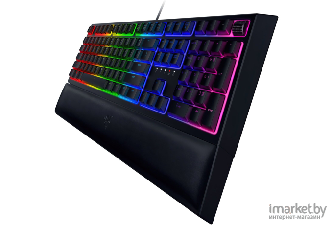 Клавиатура Razer Ornata V2 [RZ03-03380700-R3R1]