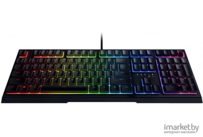 Клавиатура Razer Ornata V2 [RZ03-03380700-R3R1]