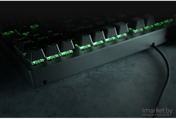 Клавиатура Razer BlackWidow V3 Tenkeyless [RZ03-03490700-R3R1]