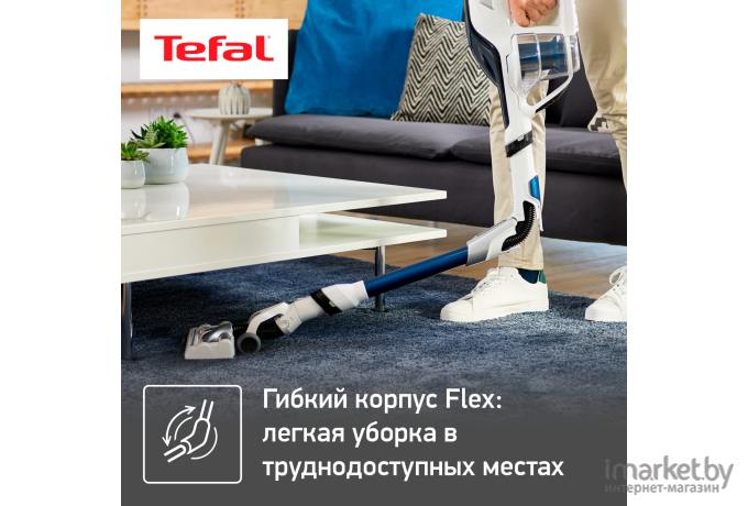 Пылесос Tefal TY9490WO