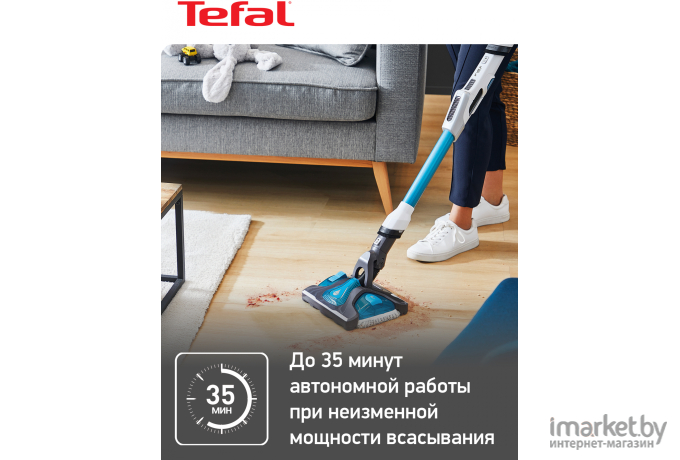 Пылесос Tefal TY9490WO