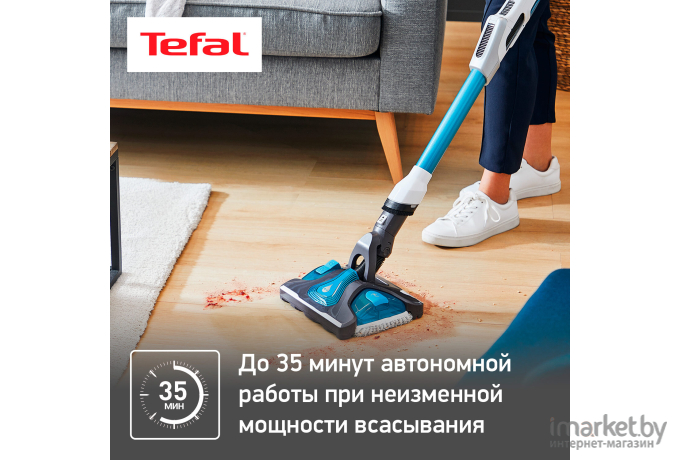 Пылесос Tefal TY9490WO