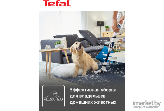 Пылесос Tefal TY9490WO