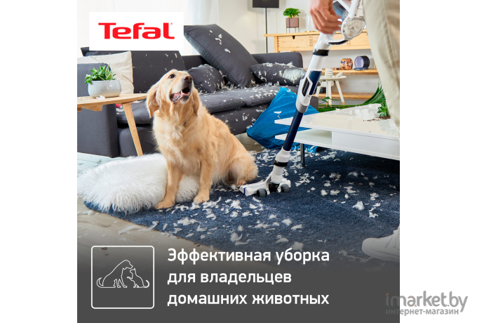 Пылесос Tefal TY9490WO