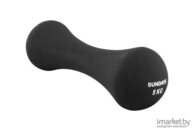 Гантель Sundays Fitness IR92004-D 5кг черный