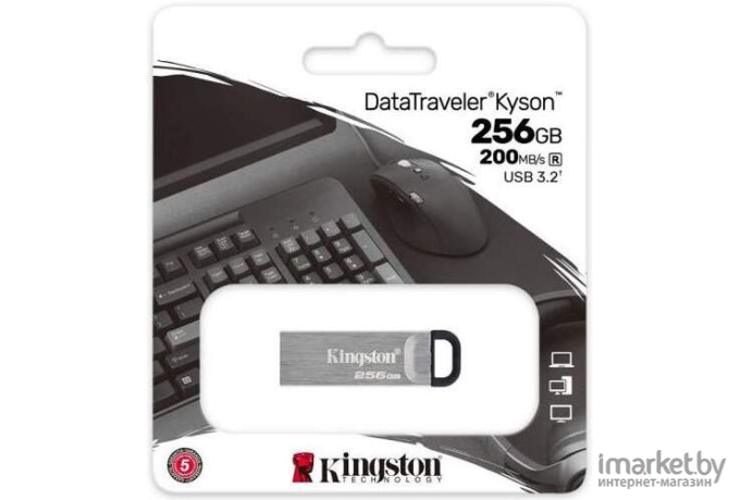 Usb flash Kingston 256Gb DataTraveler (DTKN/256GB)