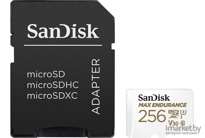 Карта памяти SanDisk MICRO SDXC 256GB [SDSQQVR-256G-GN6IA]