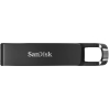 Usb flash SanDisk 256GB [SDCZ460-256G-G46]