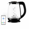 Электрочайник Redmond SkyKettle RK-G233S