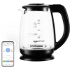 Электрочайник Redmond SkyKettle RK-G233S