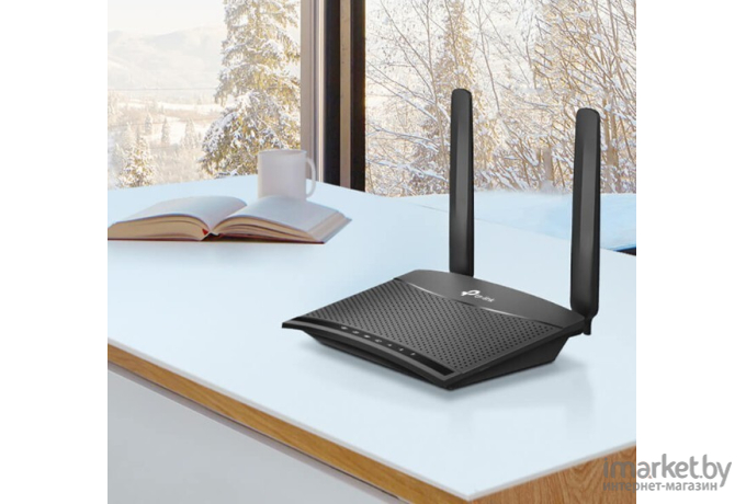 Беспроводной маршрутизатор TP-Link TL-MR100