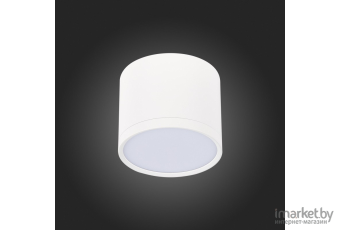 Встраиваемый точечный светильник ST-Luce Rene [ST113.532.09]