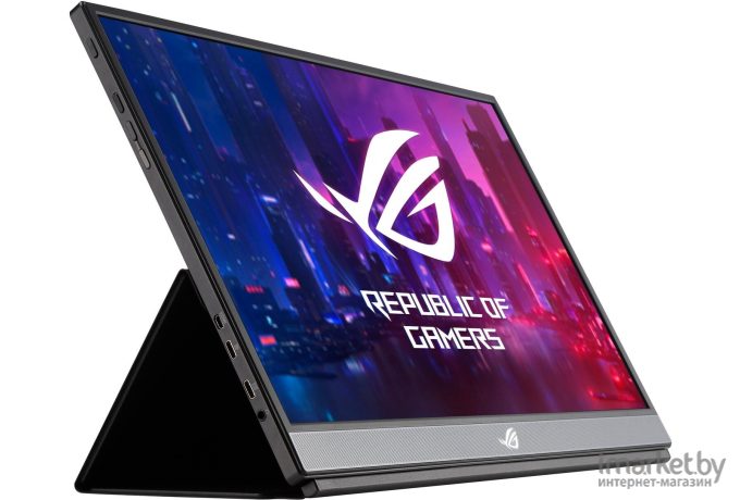 Монитор ASUS XG17AHPE серый (90LM05G1-B02170)