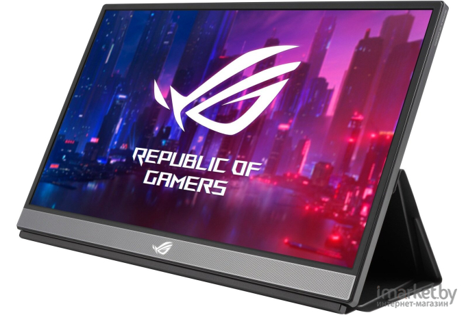 Монитор ASUS XG17AHPE серый (90LM05G1-B02170)