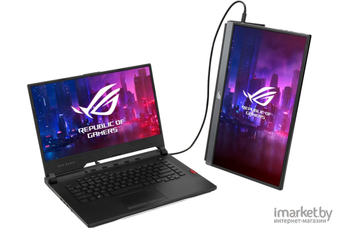 Монитор ASUS XG17AHPE серый (90LM05G1-B02170)