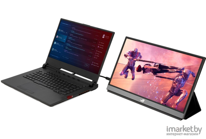 Монитор ASUS XG17AHPE серый (90LM05G1-B02170)