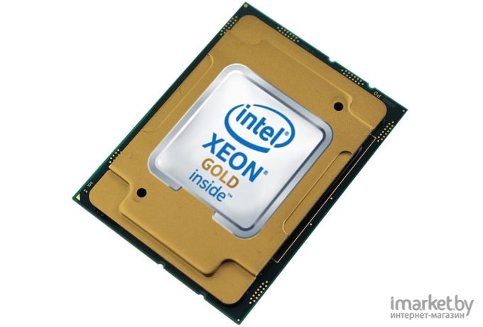 Процессор Intel Xeon Gold 6238R [338-BVKU]