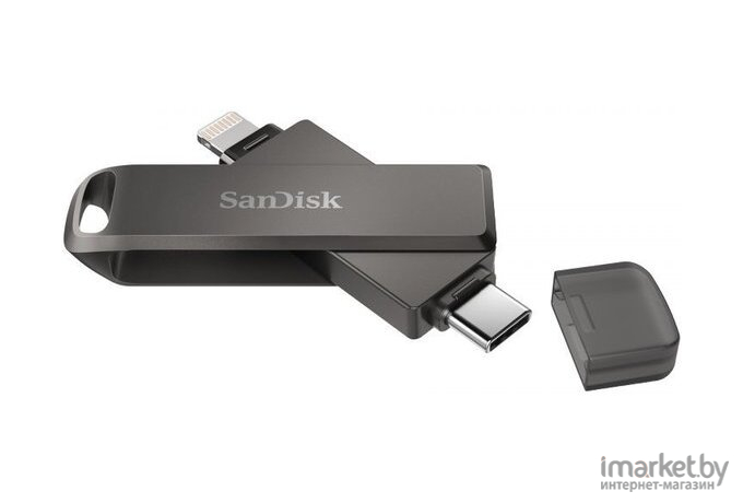 Usb flash SanDisk 256GB [SDIX70N-256G-GN6NE]