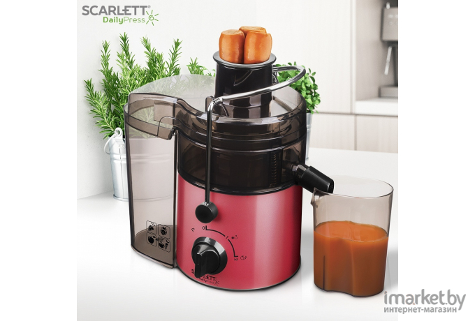 Соковыжималка Scarlett SC-JE50S19 Красный