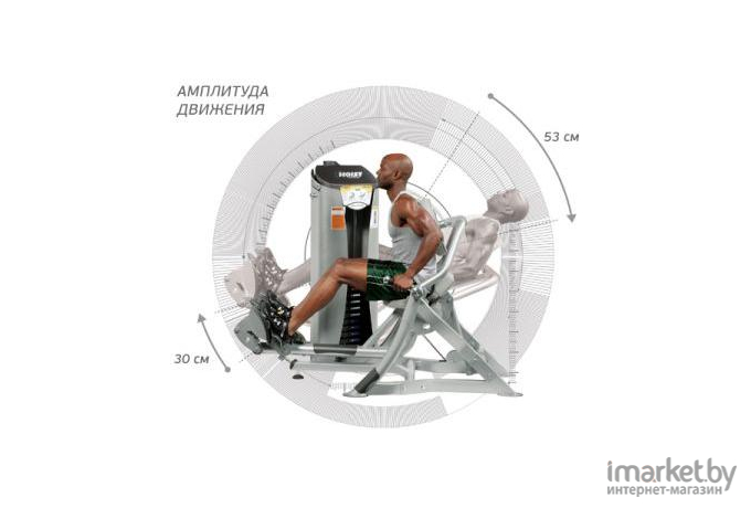 Грузоблочный тренажер Hoist Нижняя спина ROC-IT RS-1204 серебряный/черный [HF\RS-1204\CM-PL-BK]