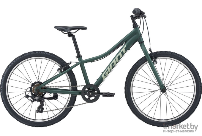 Велосипед Giant XtC Jr 24 Lite  One size Trekking Green [2104033110]