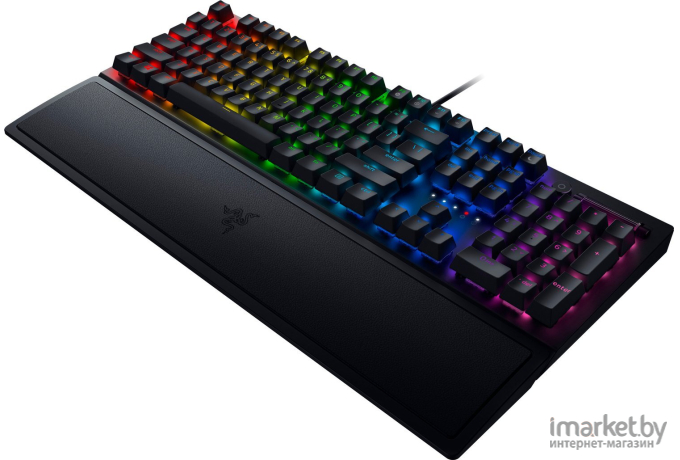 Клавиатура Razer BlackWidow V3 [RZ03-03542100-R3R1]