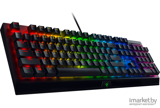 Клавиатура Razer BlackWidow V3 [RZ03-03542100-R3R1]