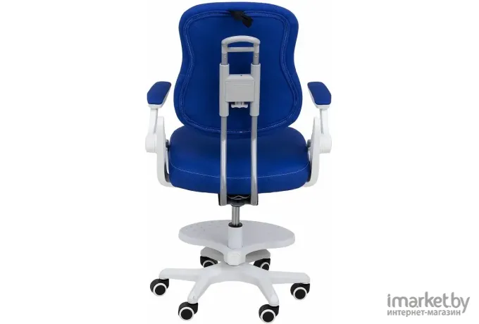Детское ортопедическое кресло AksHome Swan синий