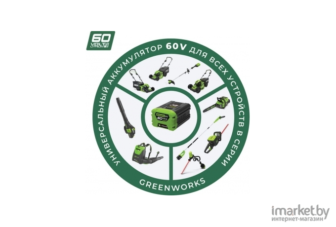 Сучкорез Greenworks GD60PS [1400407]