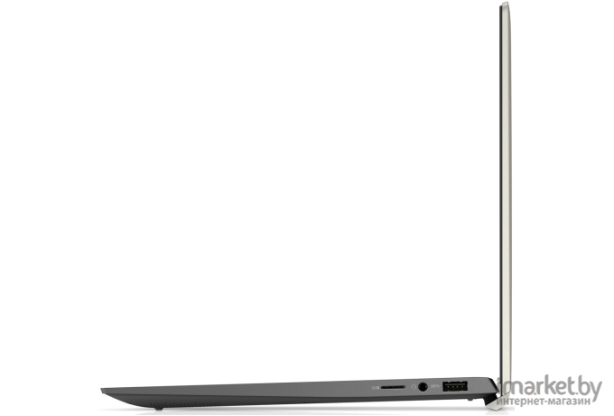 Ноутбук Dell Vostro 5301 [5301-6138]