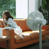 Вентилятор Smartmi Pedestal Fan 3 [ZLBPLDS05ZM]