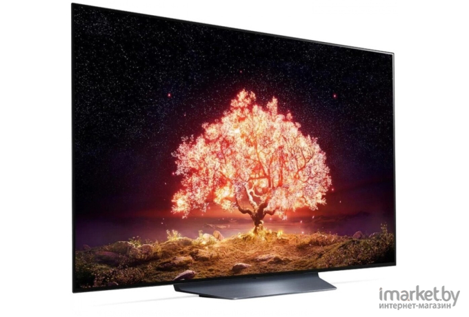 Телевизор LG OLED55B1RLA [OLED55B1RLA.ARU]