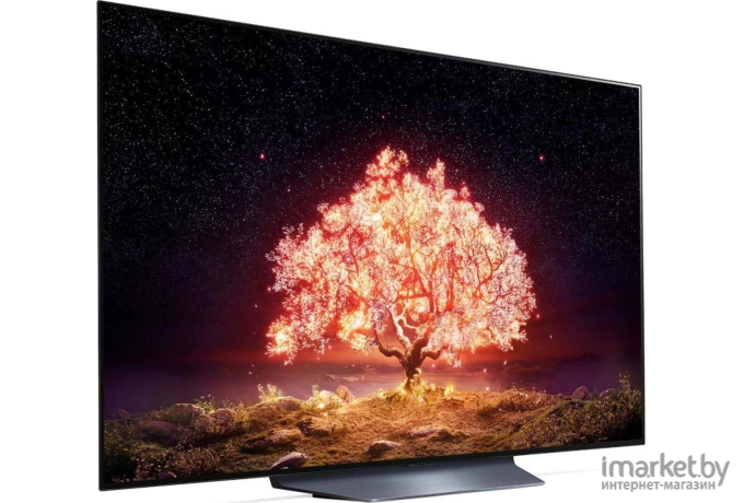 Телевизор LG OLED55B1RLA [OLED55B1RLA.ARU]