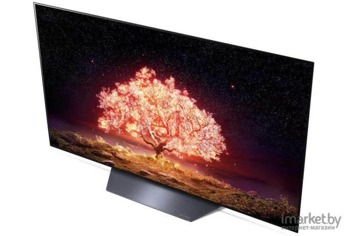 Телевизор LG OLED55B1RLA [OLED55B1RLA.ARU]