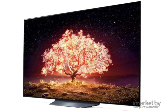 Телевизор LG OLED55B1RLA [OLED55B1RLA.ARU]