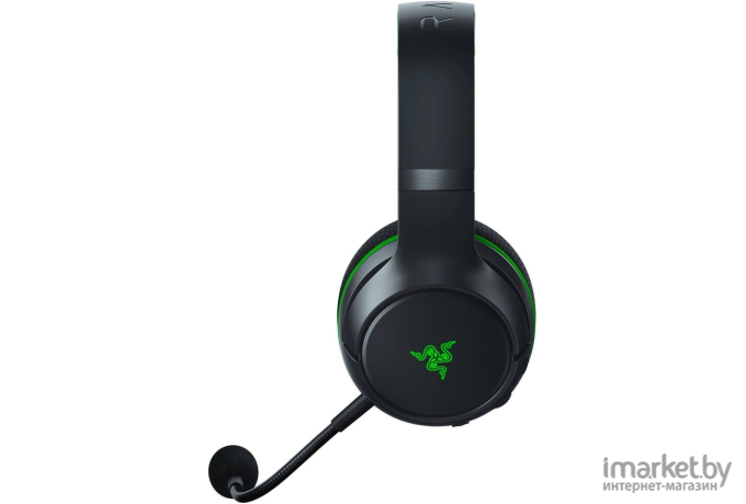 Наушники Razer Kaira Pro for Xbox [RZ04-03470100-R3M1]