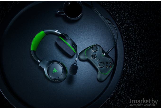 Наушники Razer Kaira Pro for Xbox [RZ04-03470100-R3M1]