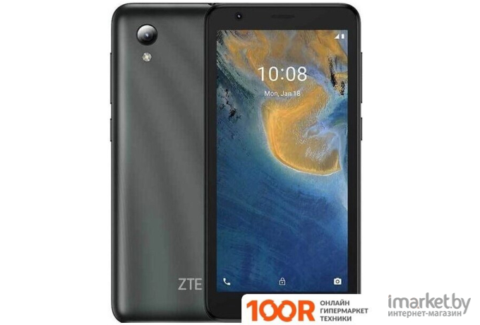 Мобильный телефон ZTE Blade A31 Lite 1Gb/32Gb серый [A31Lite2021G]